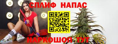 jwh Кингисепп