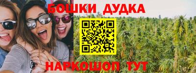jwh Кингисепп