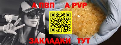 jwh Кингисепп