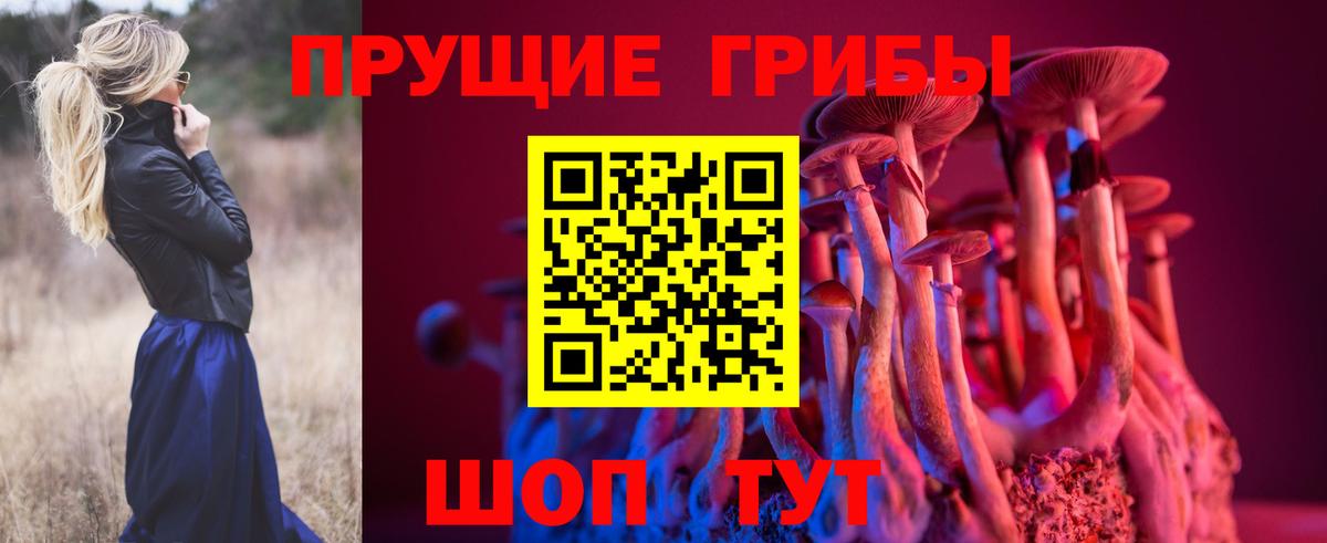 Псилоцибиновые грибы мицелий  Вход с VPN  наркота  Туймазы 